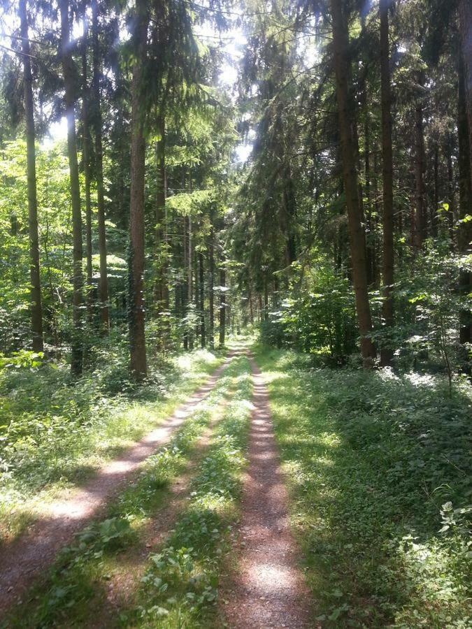 Herberge Markdorf Buitenkant foto